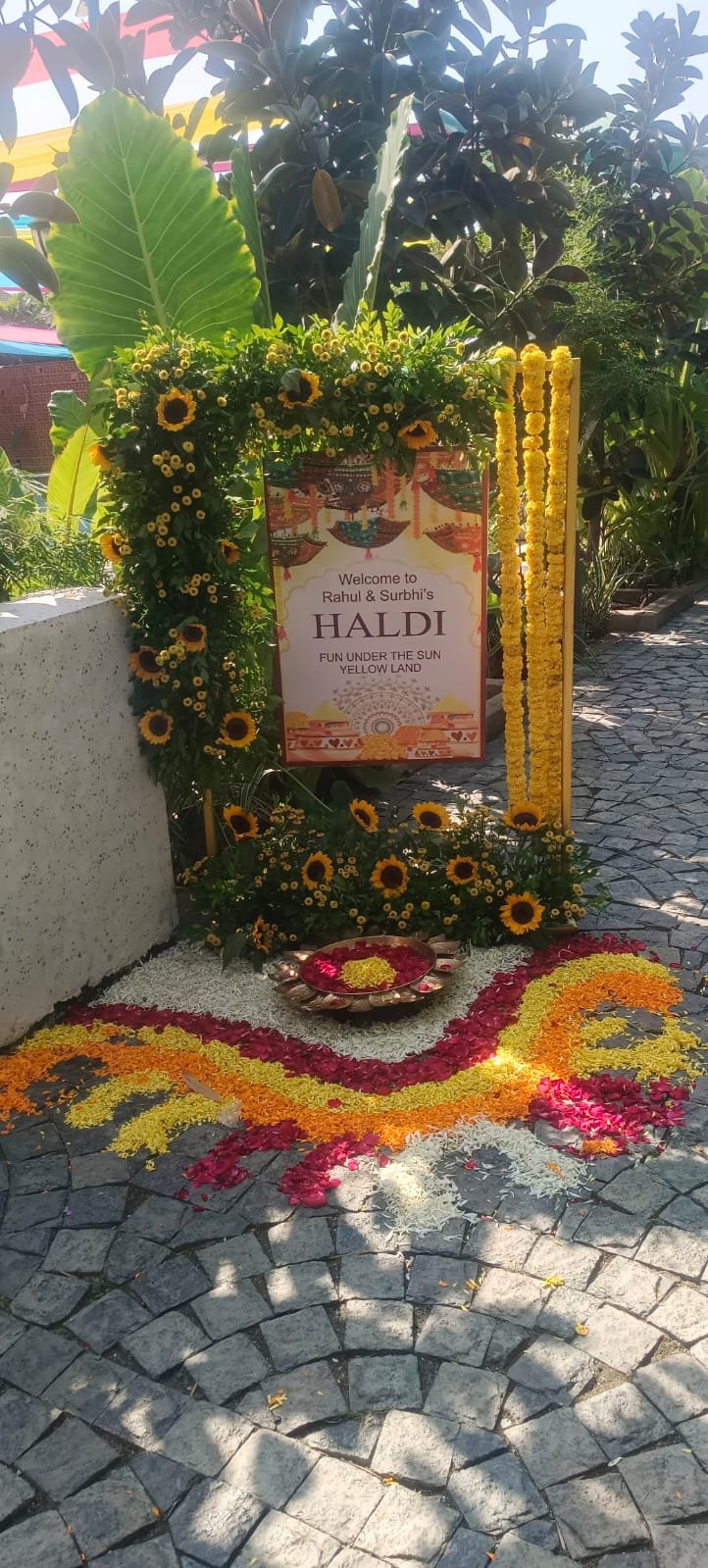 Haldi welcome
